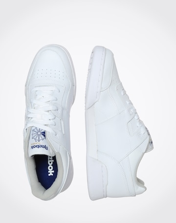 Baskets basses 'Workout Plus' Reebok en blanc