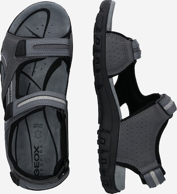 GEOX Hiking Sandals 'Strada' in Grey