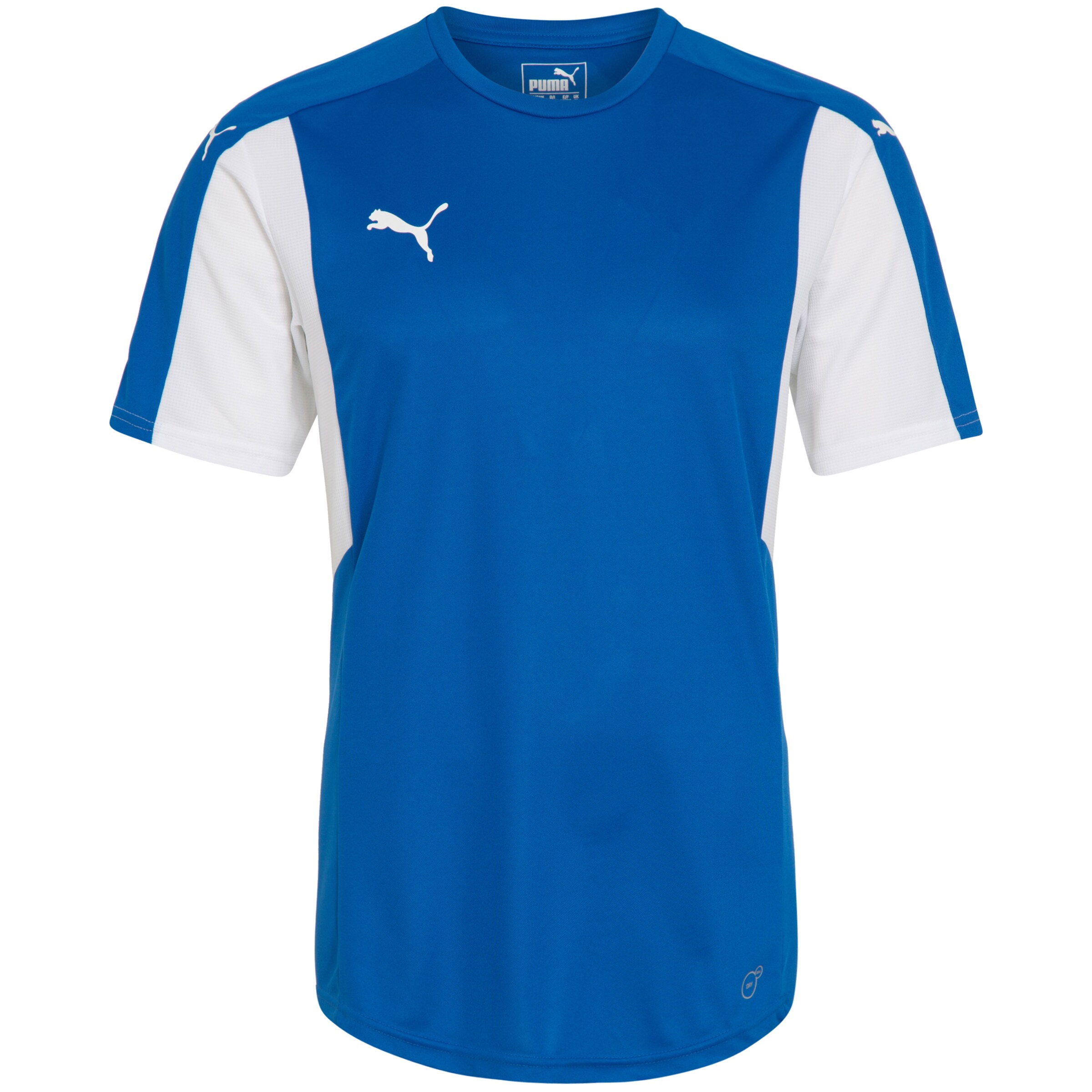 PUMA - 'Dominate' Fußballtrikot Herren in blau