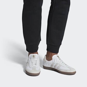 Baskets basses 'Samba OG FT' ADIDAS ORIGINALS en blanc : devant