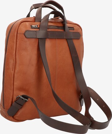 Harold's Rucksack 'Ivy Lane' in Braun