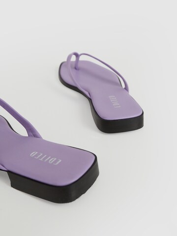 EDITED T-Bar Sandals 'Mayia' in Purple