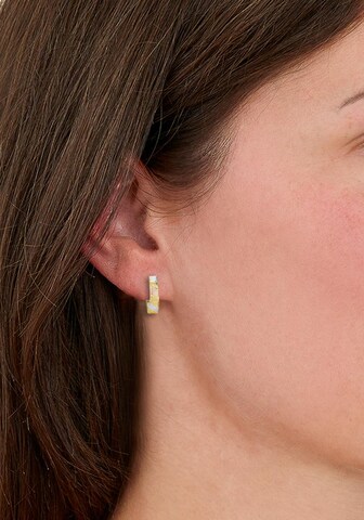 AMOR Earrings in Gold: front