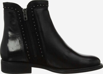 SALAMANDER Ankle Boots in Black