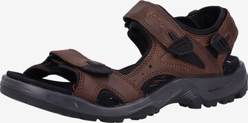 ECCO Hiking Sandals 'Offroad' in Brown: front