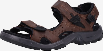 ECCO Hiking Sandals 'Offroad' in Brown: front