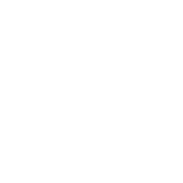 GEOX Kids Logo