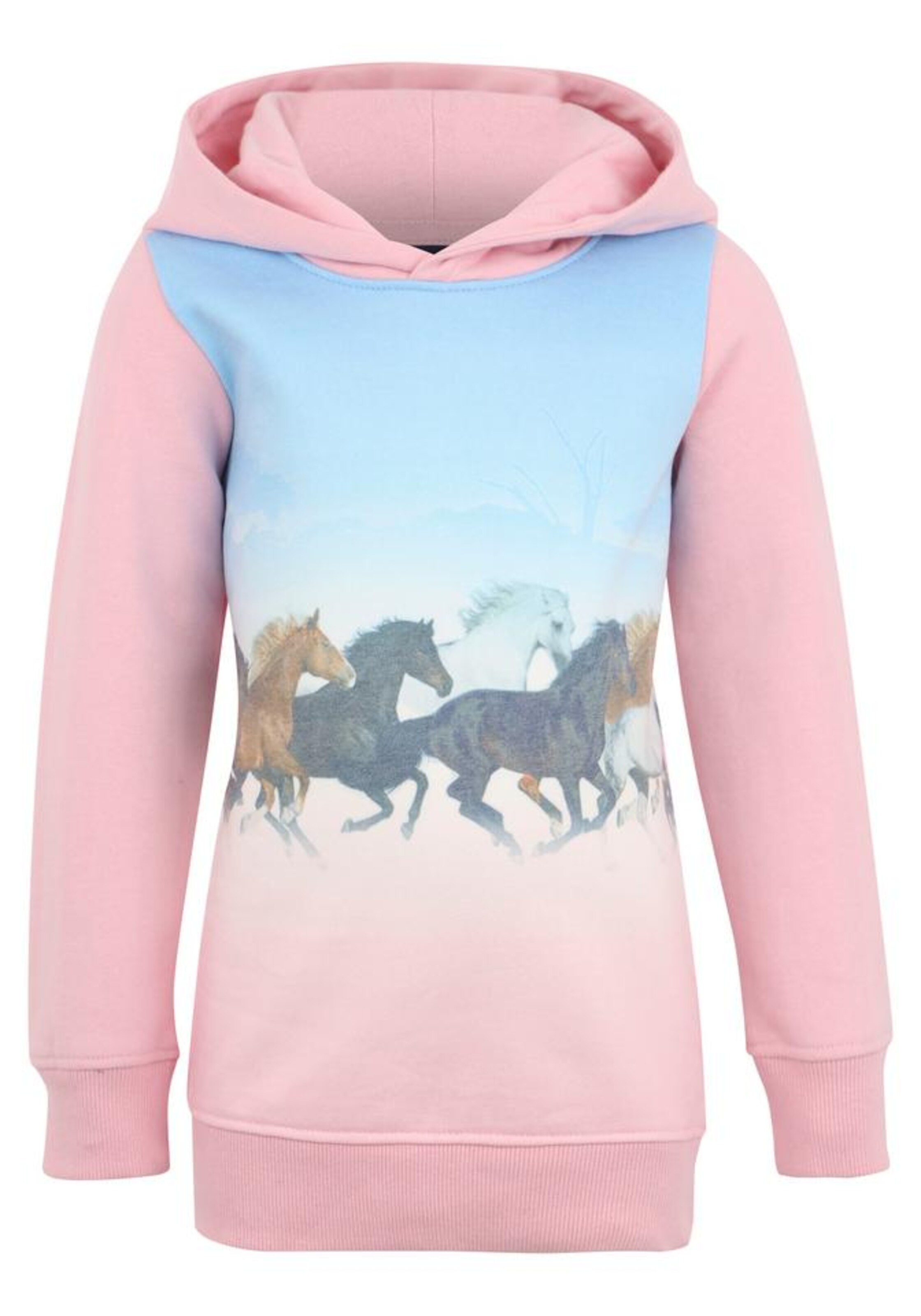 ARIZONA Sweatshirt in Pink: Vorderseite