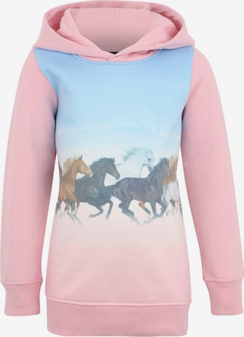 ARIZONA Sweatshirt in Pink: predná strana