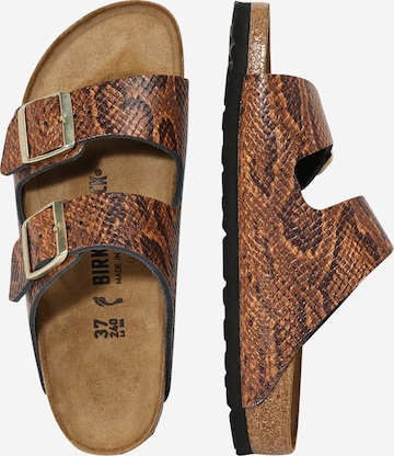 brūns BIRKENSTOCK Ādas čības 'Arizona'