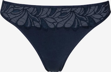 VIVANCE Panty in Mixed colors