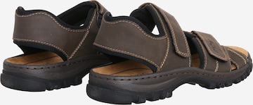 Rieker Hiking Sandals in Brown