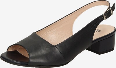 SIOUX Slingpumps 'Zippora' in schwarz, Produktansicht