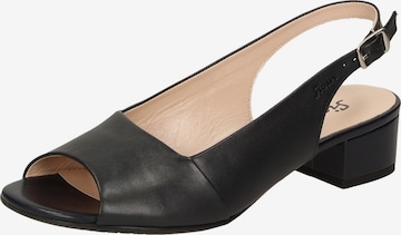 SIOUX Slingpumps 'Zippora' in Zwart: voorkant