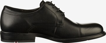 LLOYD Lace-Up Shoes in Black