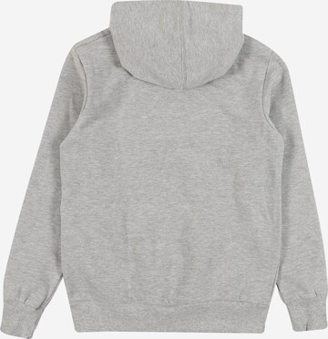 Levi's Kids Regular fit Sweatshirt 'Batwing' in Grey