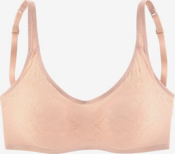 TRIUMPH Bralette Bra in Brown: front