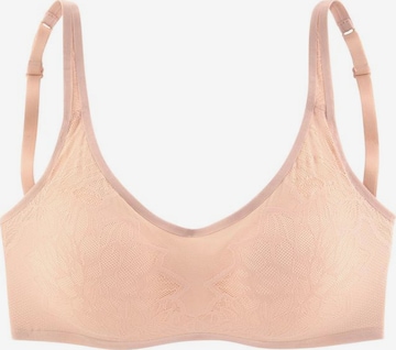 TRIUMPH Bralette Bra in Brown: front