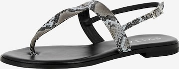 EVITA T-Bar Sandals 'OLIMPIA' in Grey: front