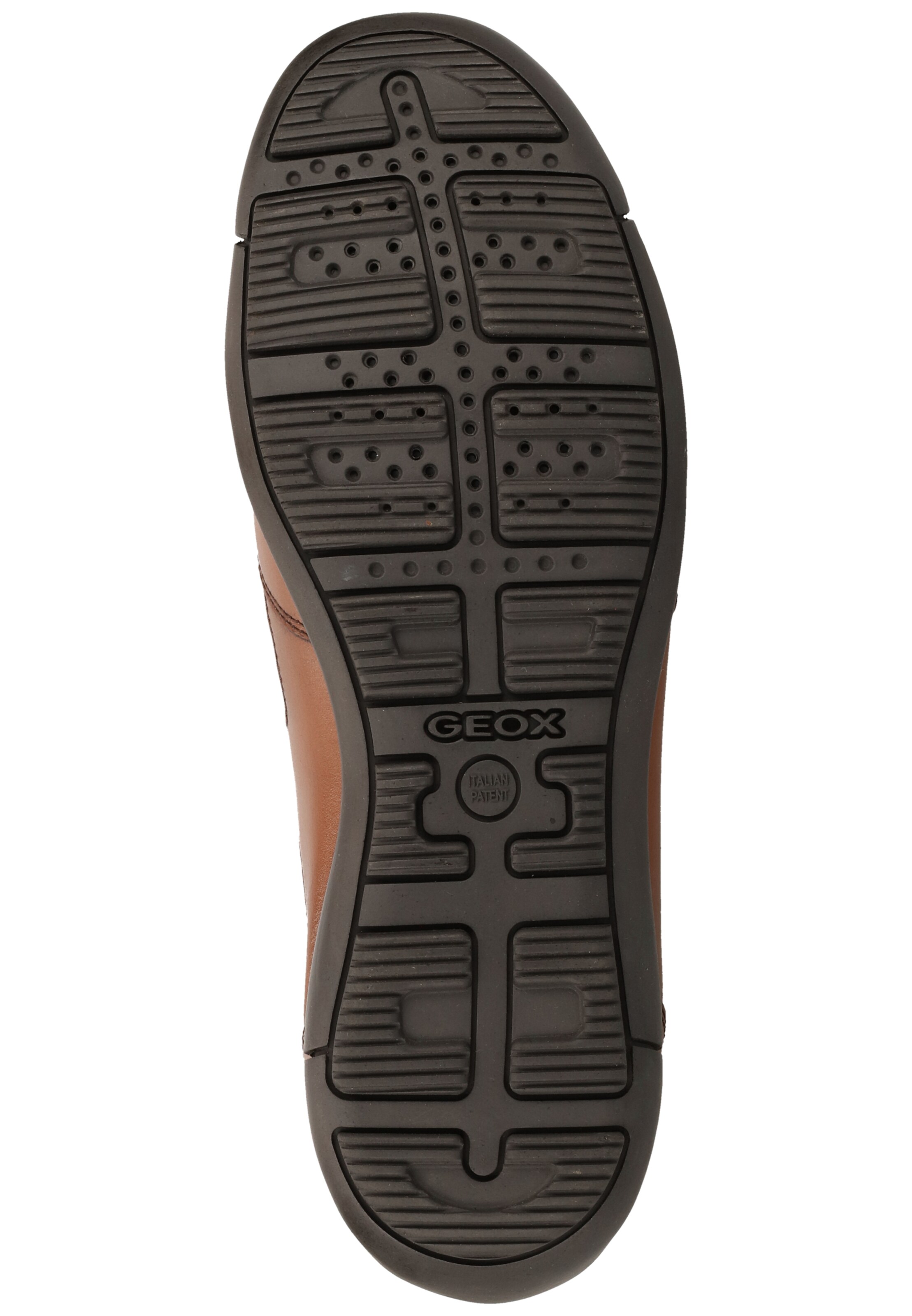 GEOX Sneaker 'Edgeware' in Braun