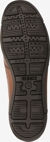 GEOX Sneakers 'Edgeware' in Brown