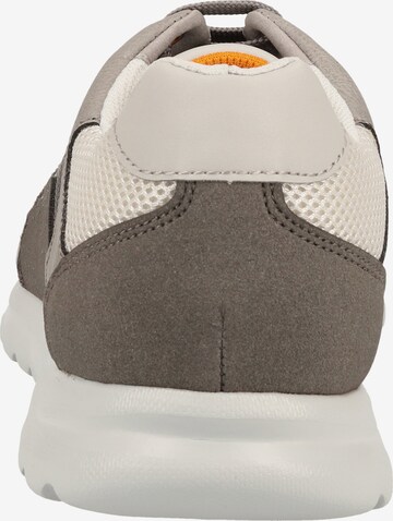 GEOX Sneaker 'Erast' in Grau