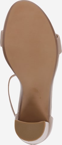 STEVE MADDEN - Sandalias con hebilla en marrón