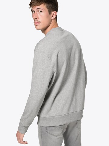 DIESEL Sweatshirt 'S Crew Division' in Grau: Rückseite