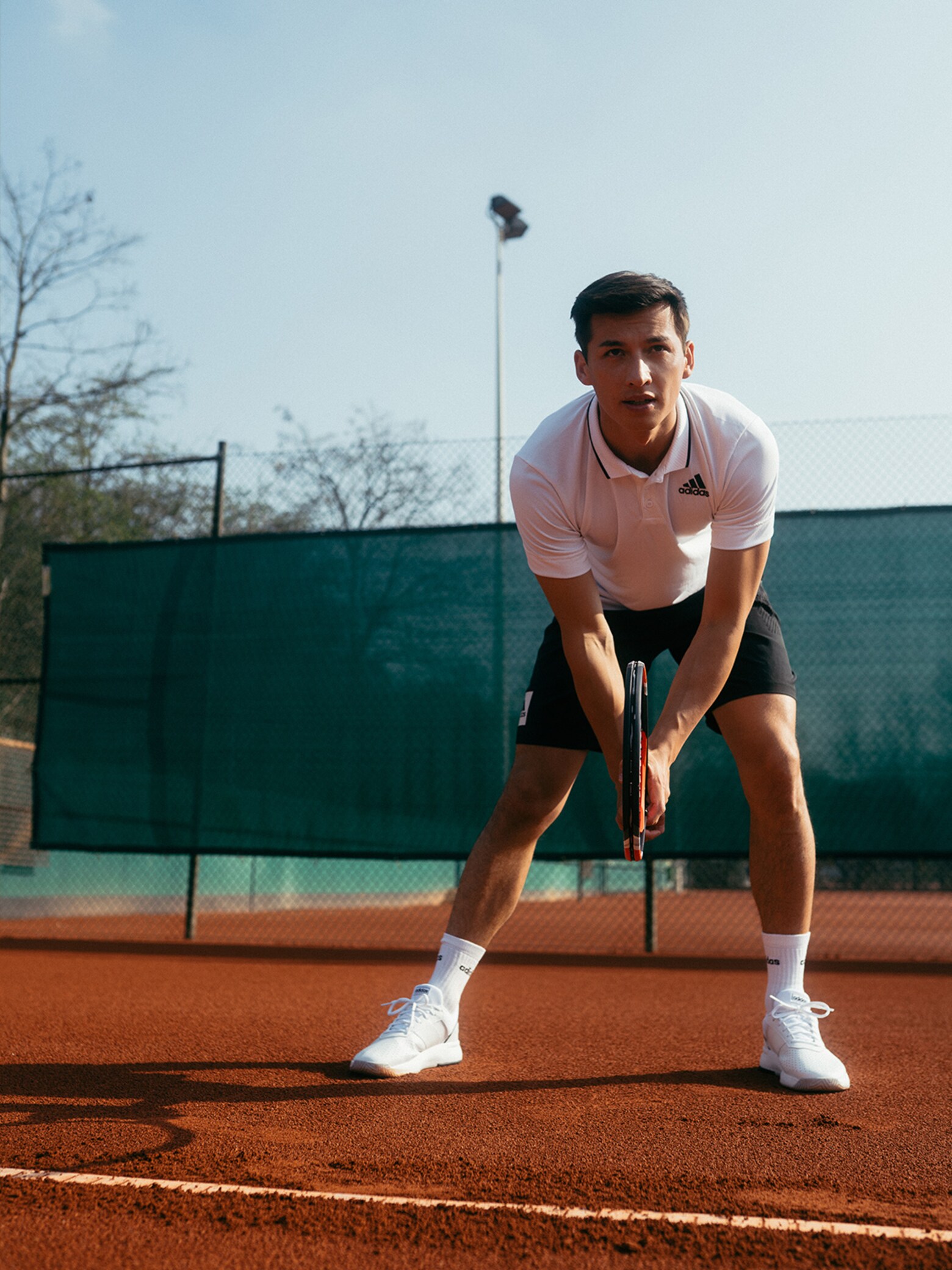 Votre balle de style Les tendances tennis