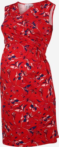 Envie de Fraise Dress 'DIVINE' in Red: front