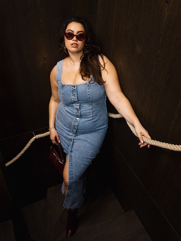 Long Denim Dress