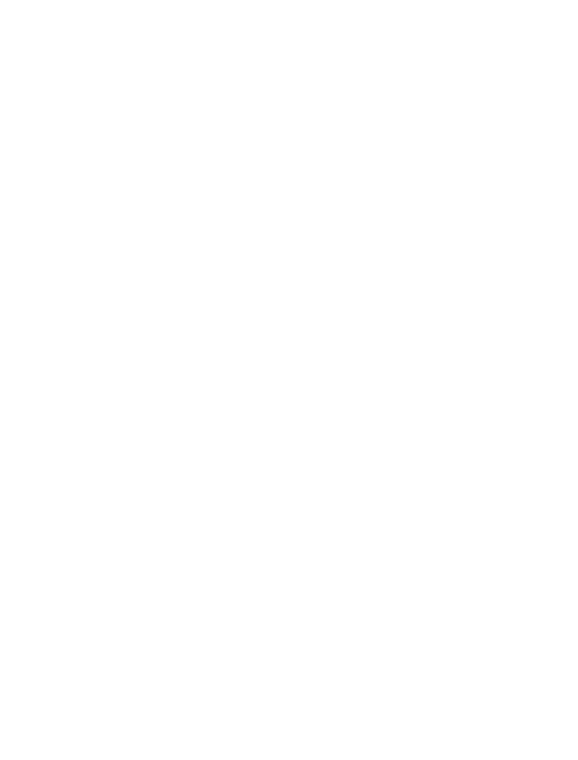 Bogner Fire + Ice Logo