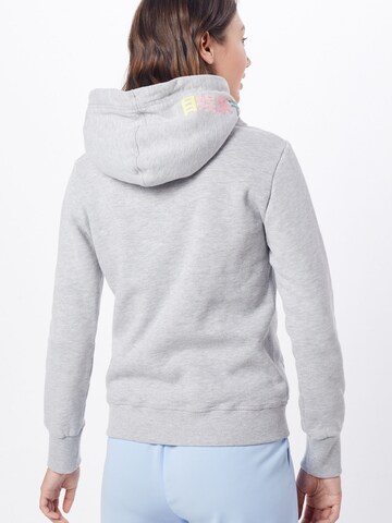 Superdry Sweatshirt 'Rainbow Stripe' in Grijs: terug