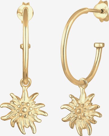 ELLI Earrings 'Edelweiss' in Gold