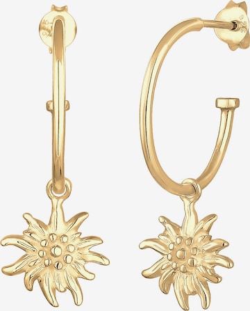 ELLI Ohrringe 'Edelweiss' in Gold