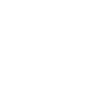 Vanessa Bruno Logo