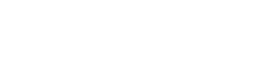 BLKVIS Logo