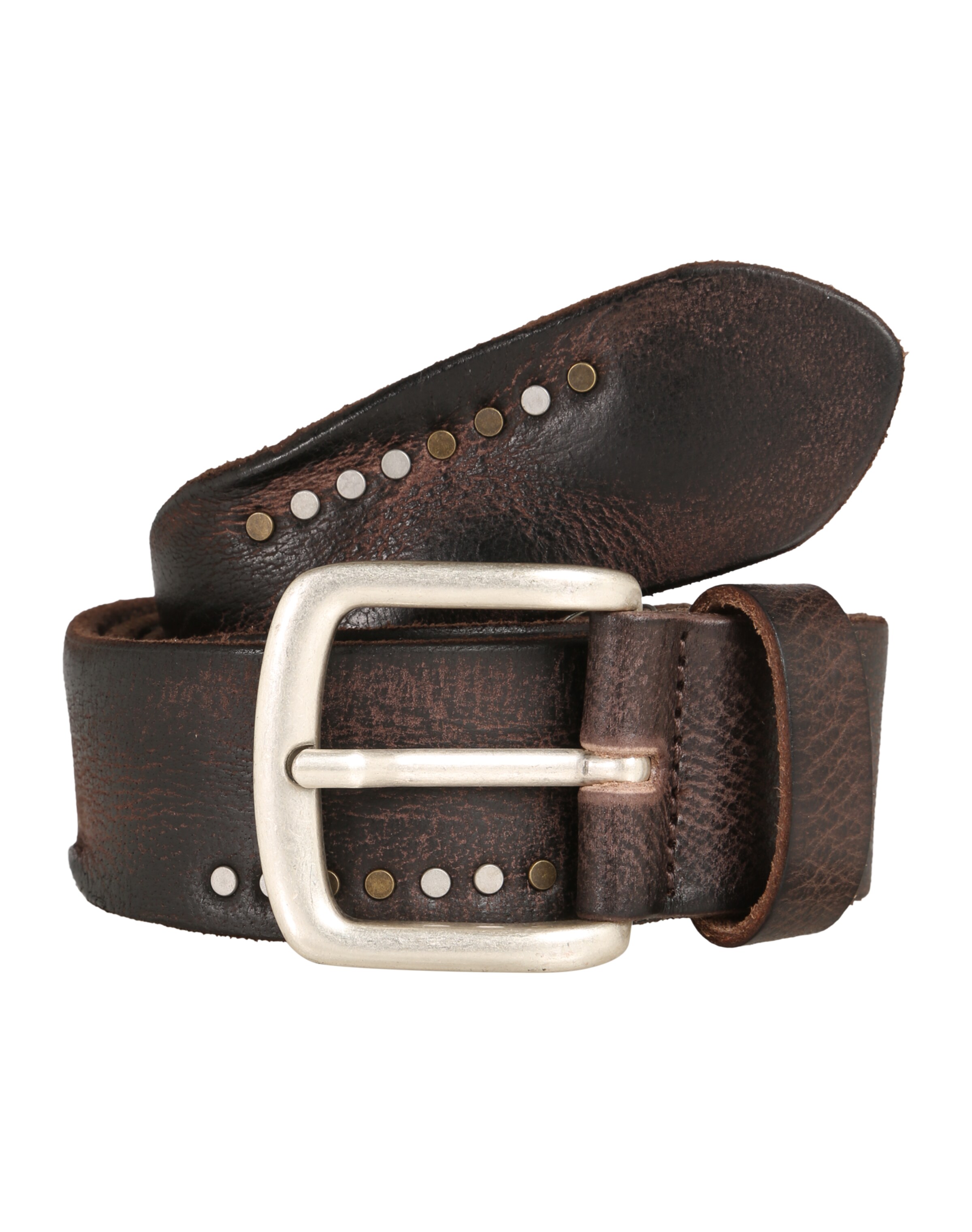 VANZETTI Pas | rjava barva: sprednja stran