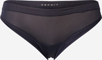 Esprit Bodywear Regular Unterhose 'Elements' in Blau: predná strana