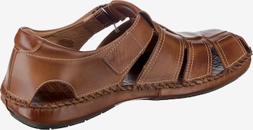 PIKOLINOS Sandals 'Tarifa' in Brown