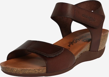 Sandales COSMOS COMFORT en marron : devant