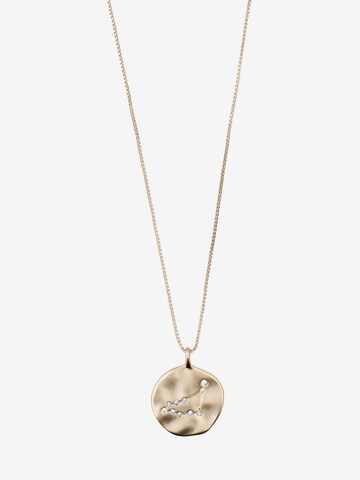 Pilgrim Ketting 'Capricorn Zodiac Sign' in Goud