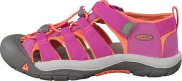 KEEN Sandale Newport H2 in Pink