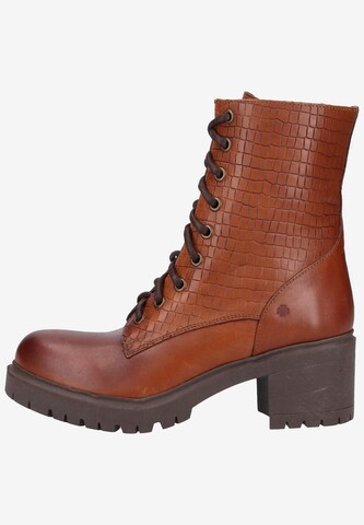 ILC Lace-Up Ankle Boots in Brown