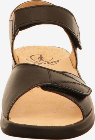 Ganter Sandals in Brown