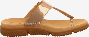 GABOR Teenslipper in Beige