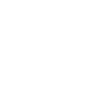 ASICS SportStyle Logo