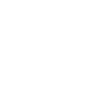 BASLER BY WALDLÄUFER Logo