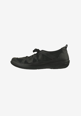 Lei by tessamino Lace-Up Shoes 'Eva' in Black