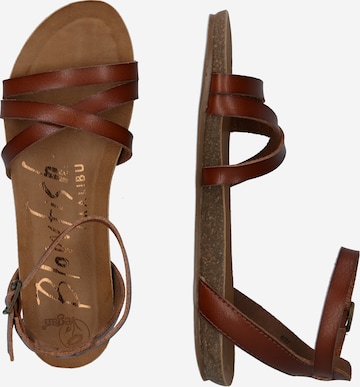 Blowfish Malibu Sandalen met riem 'GALIE' in Bruin